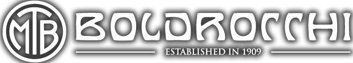 Boldrocchi group Logo