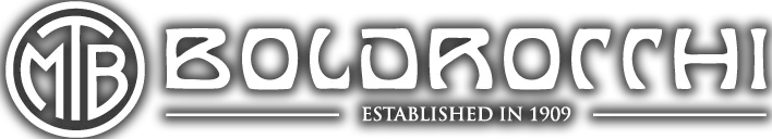 Boldrocchi group Logo